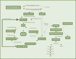 PDF Programa de Acción Arranque Parejo en la Vida Semantic Scholar