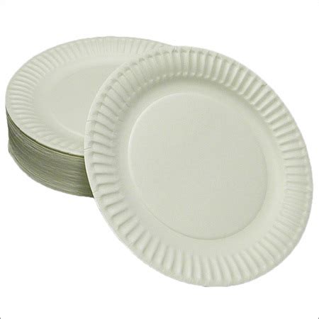 Disposable Plates at Best Price in Vijayawada, Andhra Pradesh | Pooja ...