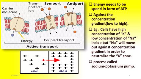 Signal Transduction And Translocation PPT