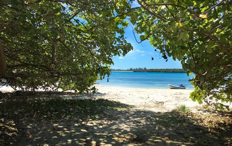 Kuto Bay Through The Trees By Natosaurus On Deviantart