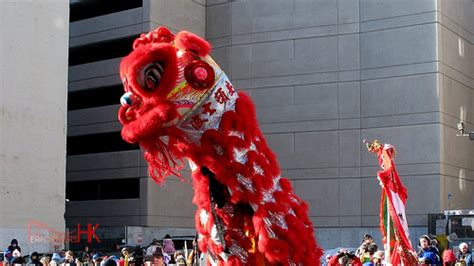 Performers Hk Led Lion Dance