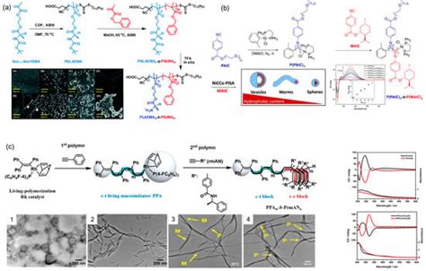 Ijms Free Full Text Supramolecular Chirality In Azobenzene