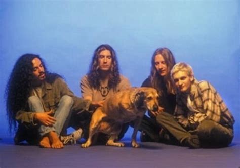 90 S Nostalgic The Album Cover For Alice In Chains Self Titled