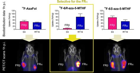 Identification Of A Pet Radiotracer For Imaging Of The Folate Receptor