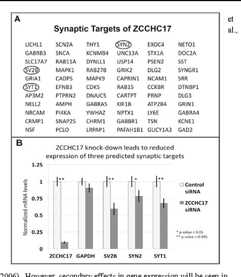 Figure 3 From ZCCHC 17 Is A Master Regulator Of Synaptic Gene