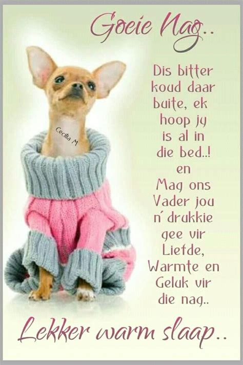 Lekker Slaap Dis Koud Good Night Prayer Good Night Blessings Good