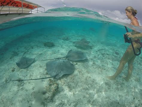 Polin Sia Francesa O Que Fazer Em Bora Bora Apaixonados Por Viagens