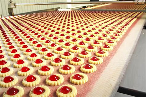 Monolithic VS Modular: Which plastics is better for Food processing conveyor belts?