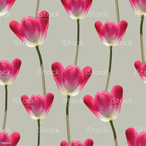 Realistic Tulips Vector Seamless Pattern Stock Illustration - Download ...