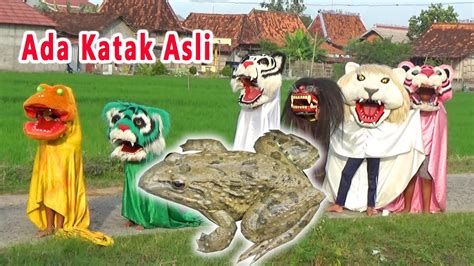 Barongan Katak Dan Kawan Kawan Jalan Pagi Ada Katak Asli Youtube