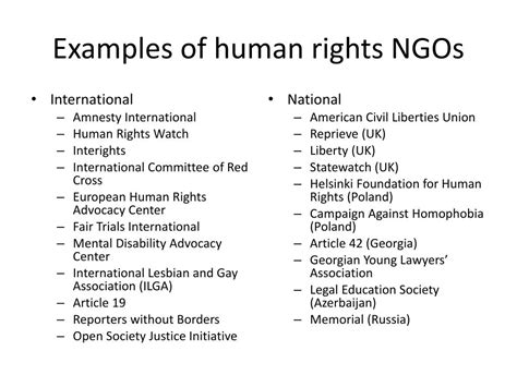 Ppt The Role Of Ngos In The Protection Of Human Rights Powerpoint