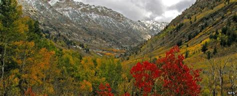 Humboldt Toiyabe National Forest The Sights And Sites Of America
