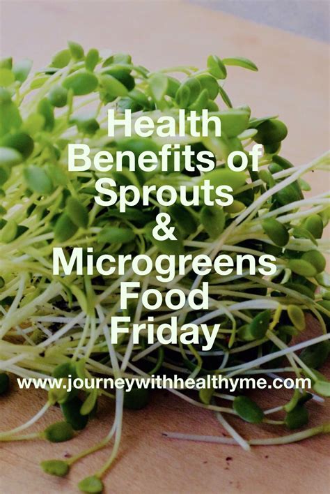 Health Benefits Of Sprouts Microgreens Journey With Healthy Me