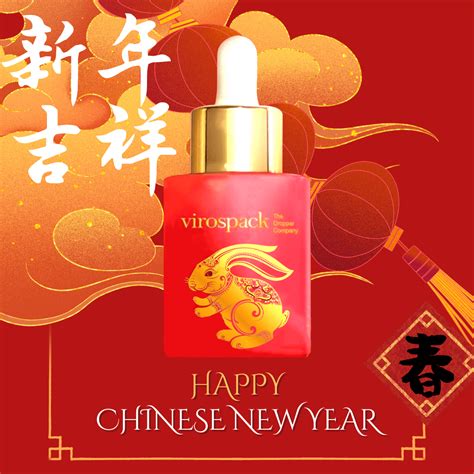The Chinese New Year 2023 Holiday Begins Virospack