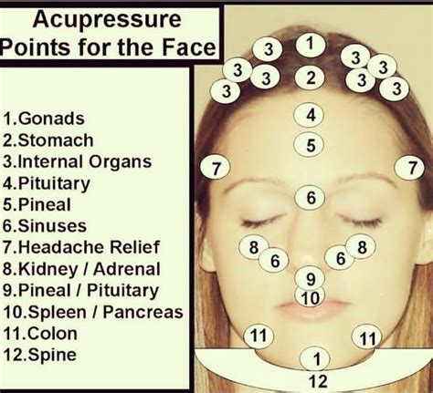 Acupressure Points for the face | Acupressure points, Acupressure ...