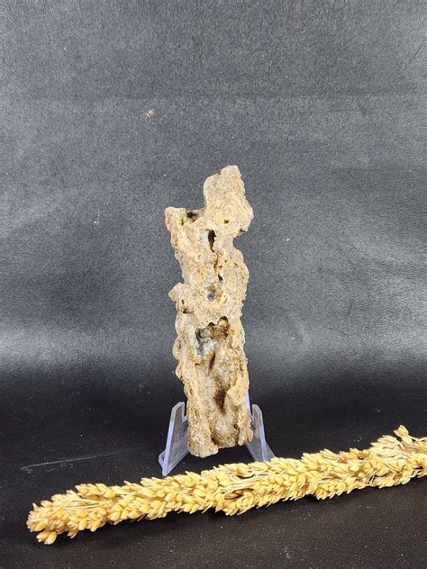 Fulgurite Lightning Glass Fulgurite Stone Lightning Strikes Sand Hollow Glass Tube Sahara