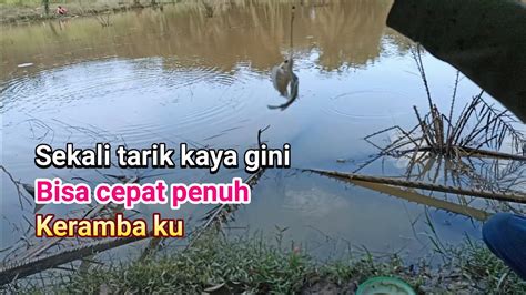 Umpan Lumut Wangi Spot Baru Sampai Kehabisan Umpan YouTube