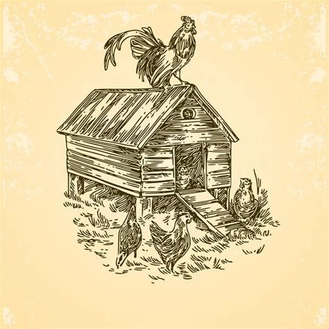 Farm Chicken Coop Vector Art Stock Images Depositphotos