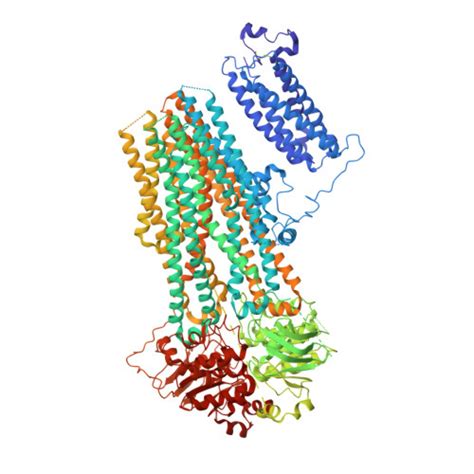 Gene Q09428 Protein ABCC8 Overview CanSAR Ai