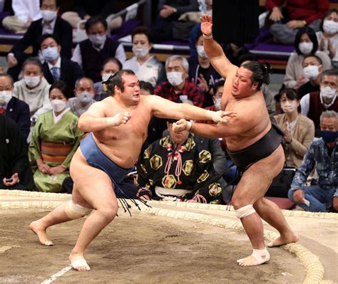 阿炎初黒星 7連勝の照ノ富士＆貴景勝ストレート給金王手／7日目写真特集 大相撲ライブ速報写真ニュース 日刊スポーツ