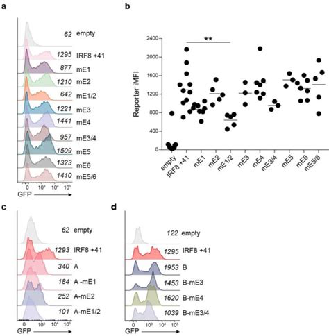 Activity Of Kb Irf Enhancer Is E Box Dependent A Gfp Expression