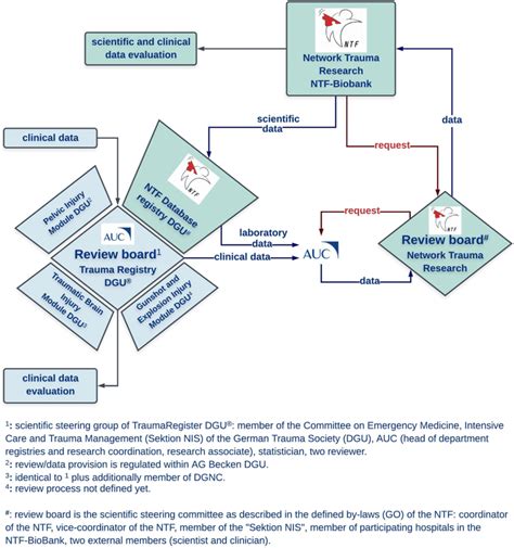 The Workflow For The Clinical And Scientific Data Management With The