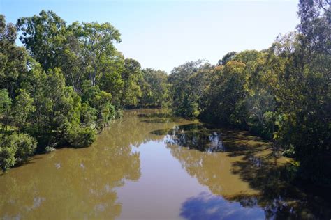Yarra Bend Park Melbourne Adventure Clues