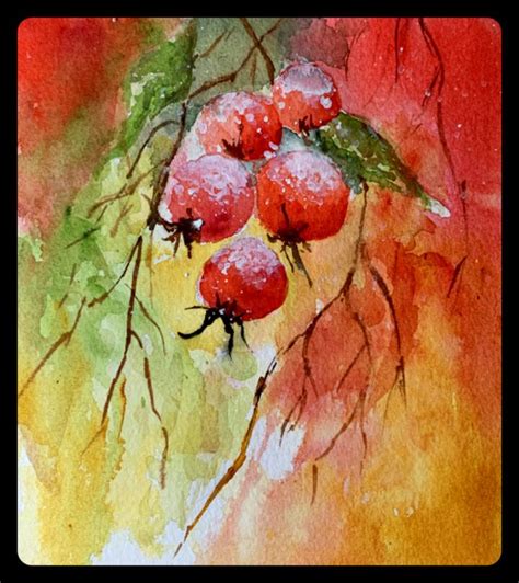 Rose Hips Watercolor Silke Jahreszeiten