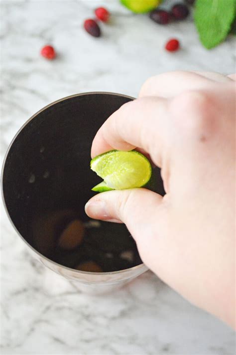 Cranberry Mojito Recipe Planning Inspired