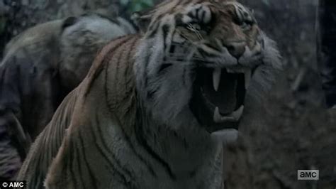 The Walking Dead King Ezekiel Loses Army And Tiger Shiva Daily Mail Online