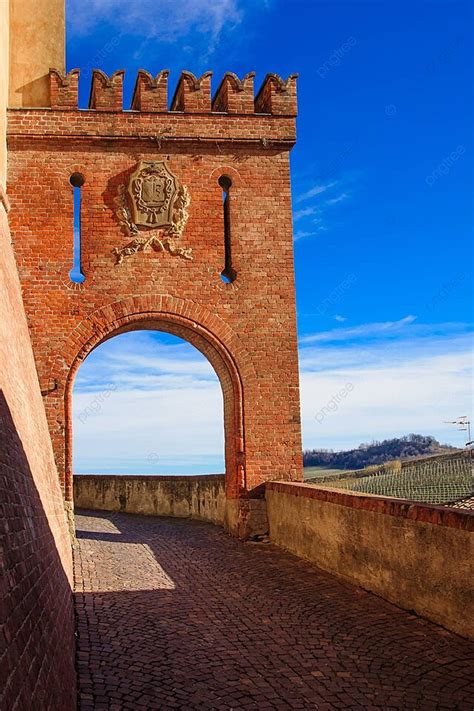 Barolo Italian Vine European Photo Background And Picture For Free