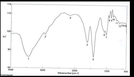 Extraction And Characterization Of Sodium Alginates Extracted From