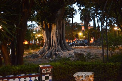 Seville Spain Tree In Jardin De Murillo Paulrich786 Flickr