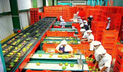 Exportaciones Agropecuarias No Tradicionales Alcanzaron Us Millones