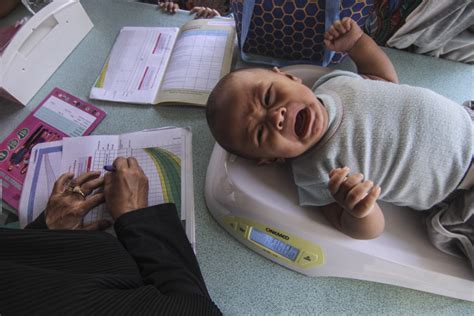 Bkkbn Angka Kematian Ibu Dan Bayi Terkait Tingginya Angka Stunting