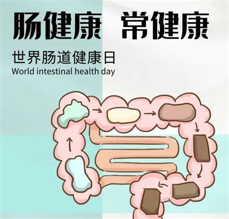 世界肠道健康日丨肠健康，才能常健康 企业动态 丁香通