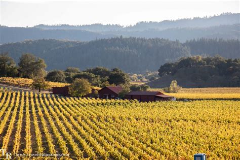 Fall colors in Napa Valley - A Photo Essay - Travel Realizations