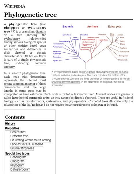 phylogenetic tree wikipedia  phylogenetic tree taxa