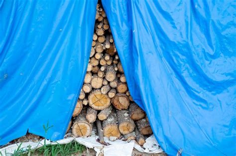 Pilha De Lenha Empilhada Em Uma Fazenda Para Passar O Inverno Frio