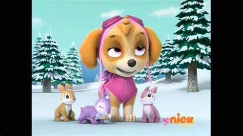 Bunnies/Gallery/Pups Save Skye | PAW Patrol Wiki | FANDOM powered by Wikia