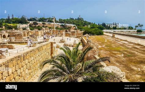 Ruins of ancient Carthage, Tunis, Tunisia Stock Photo - Alamy