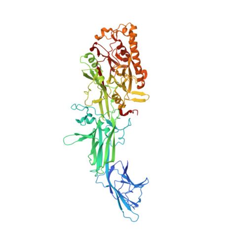 Gene Q Y J Protein Padi Overview Cansar Ai