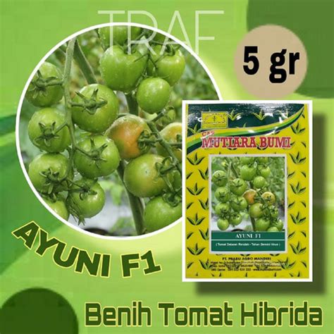 Jual BENIH TOMAT HIBRIDA AYUNI F1 ISI 5 GRAM CAP MUTIARA BUMI Kab