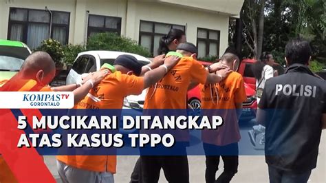 Polisi Tangkap Mucikari Atas Kasus Tppo Youtube