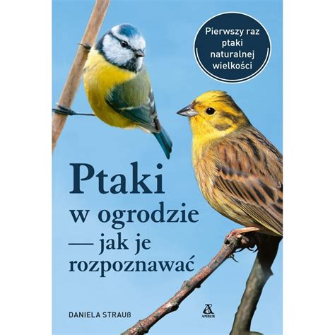 Ptaki W Ogrodzie Jak Je Rozpozna Wyd Emag Ro