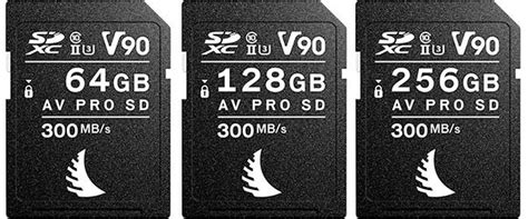 Best Sony A7R V Memory Cards With Speed Buffer Tests Alpha Shooters