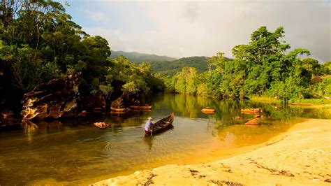 Madagascar Rainforest Wonderland Package - AAA Travel Africa