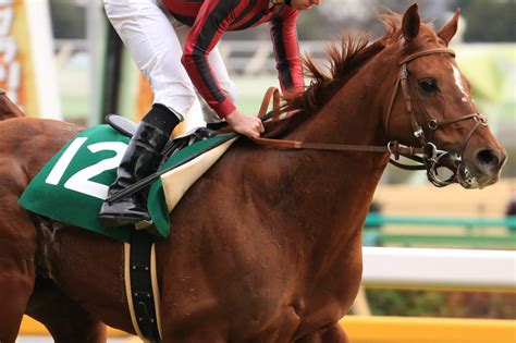 函館2歳ステークス2018の最新見解・データ 競馬予想大学