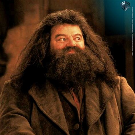 Robbie Coltrane O Hagrid De Harry Potter Morre Aos Anos