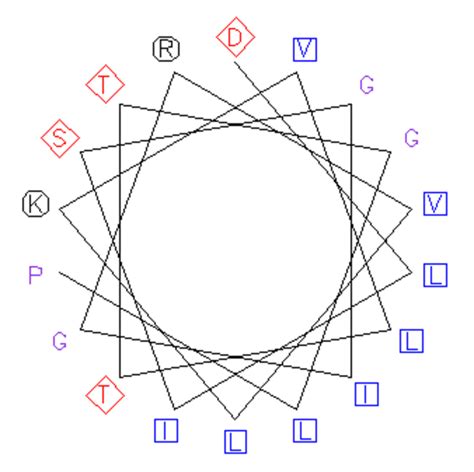 Helical Wheel Depicting The Positions Of Amino Acids In An Helix